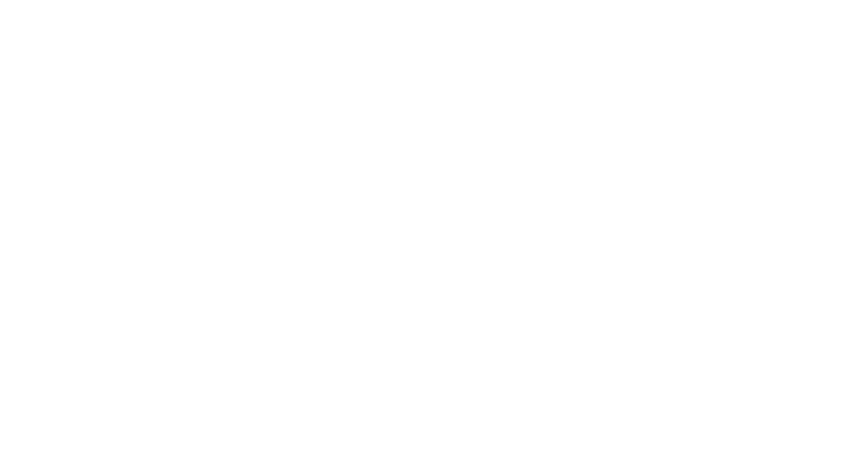 light logo